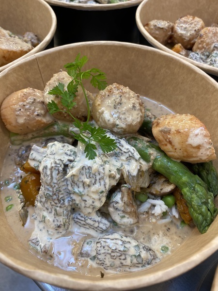 Cocotte de St Jacques à la crème de morilles